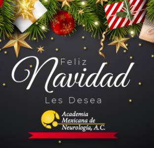 ¡Felices Fiestas Decembrinas 2024!